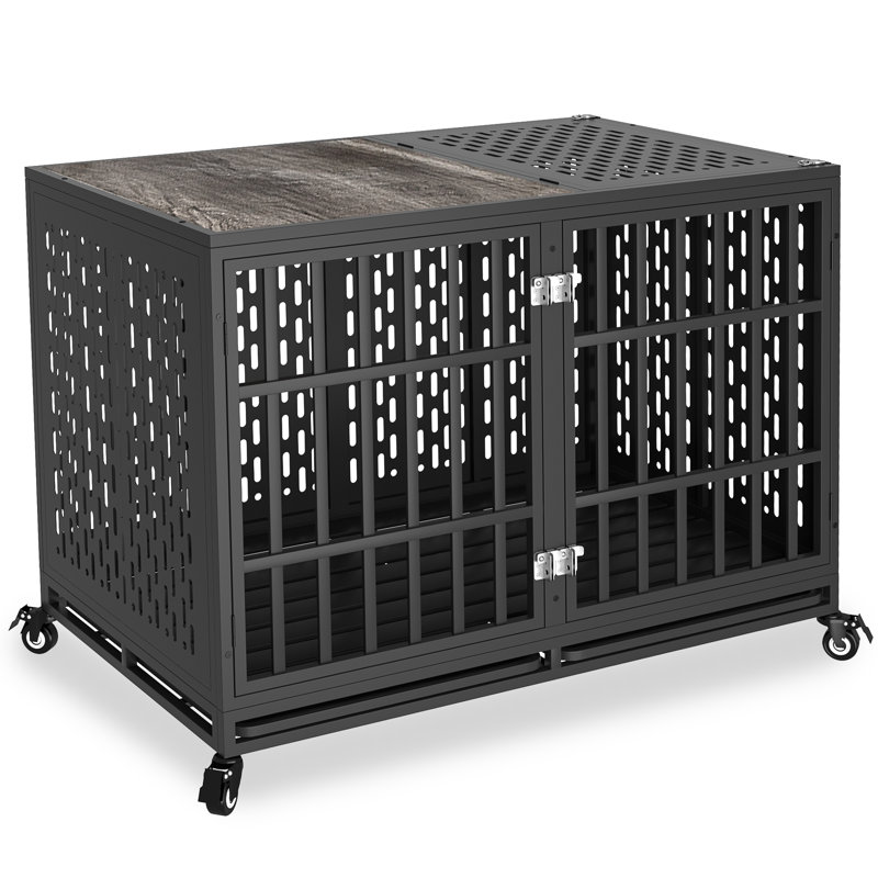 Tucker Murphy Pet Darrek Heavy Duty Dog Crate Kennel for High Anxiety Dogs Pet Cage Indoor Divider Included No